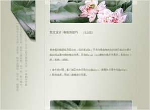 PS圖文中常用元素的設(shè)計(jì)方法 打造視覺(jué)吸引力